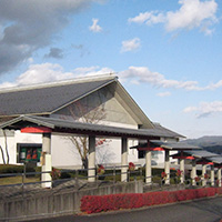 Cattle Museum